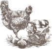 Cafes and Farm Shops